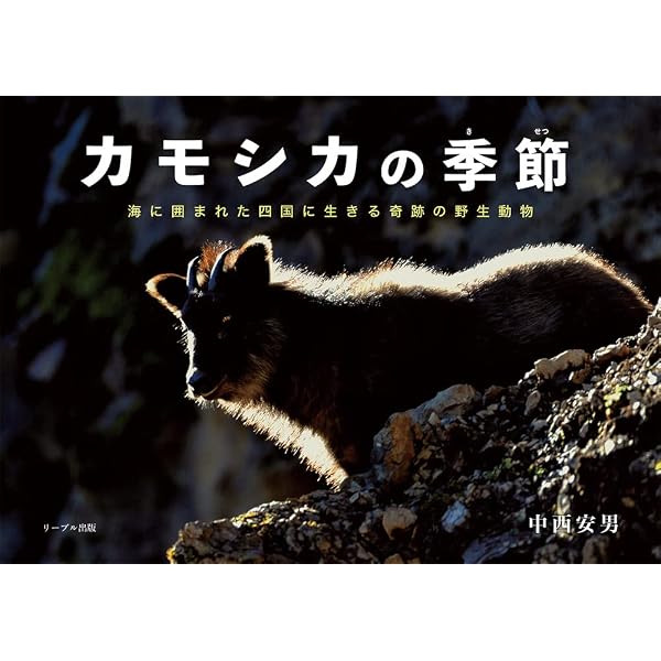 ニホンカモシカ: 行動と生態 (Natural History Series) | 落合 啓二
